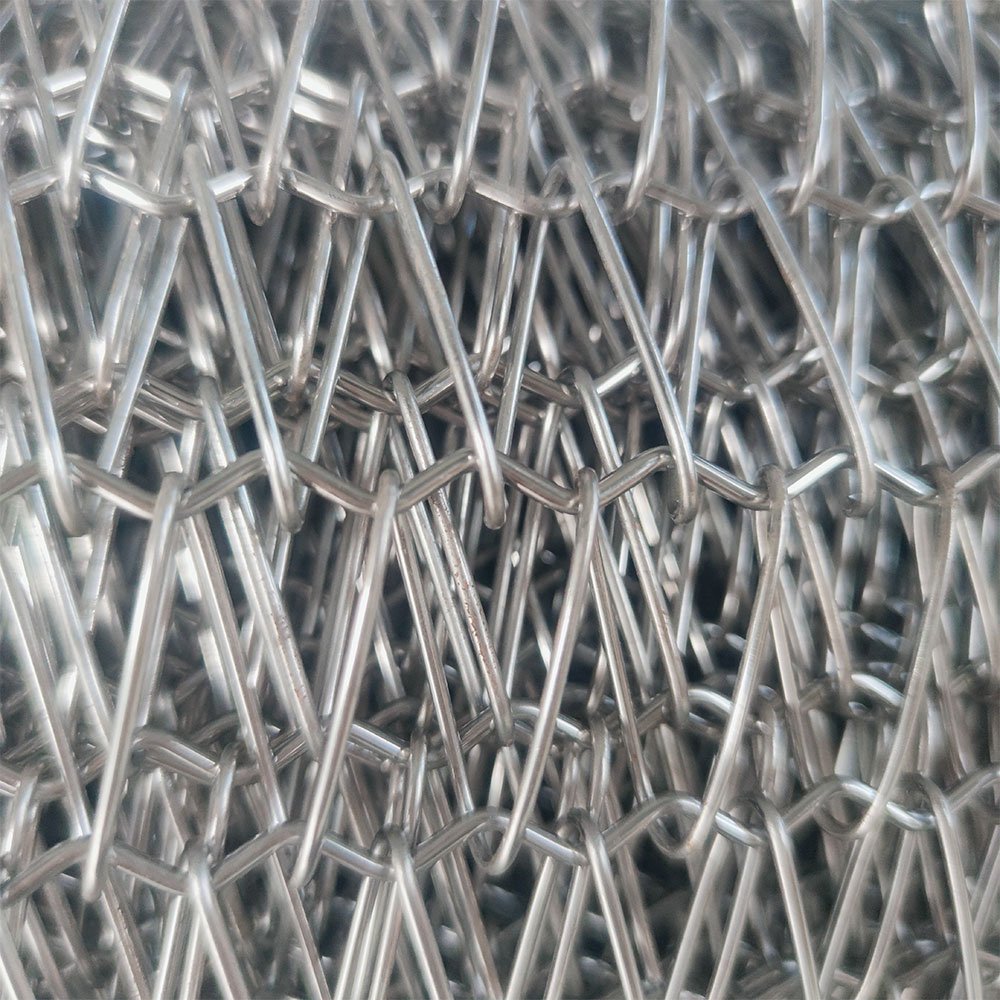 Stainless Steel woven wire mesh egg Conveyor Belt