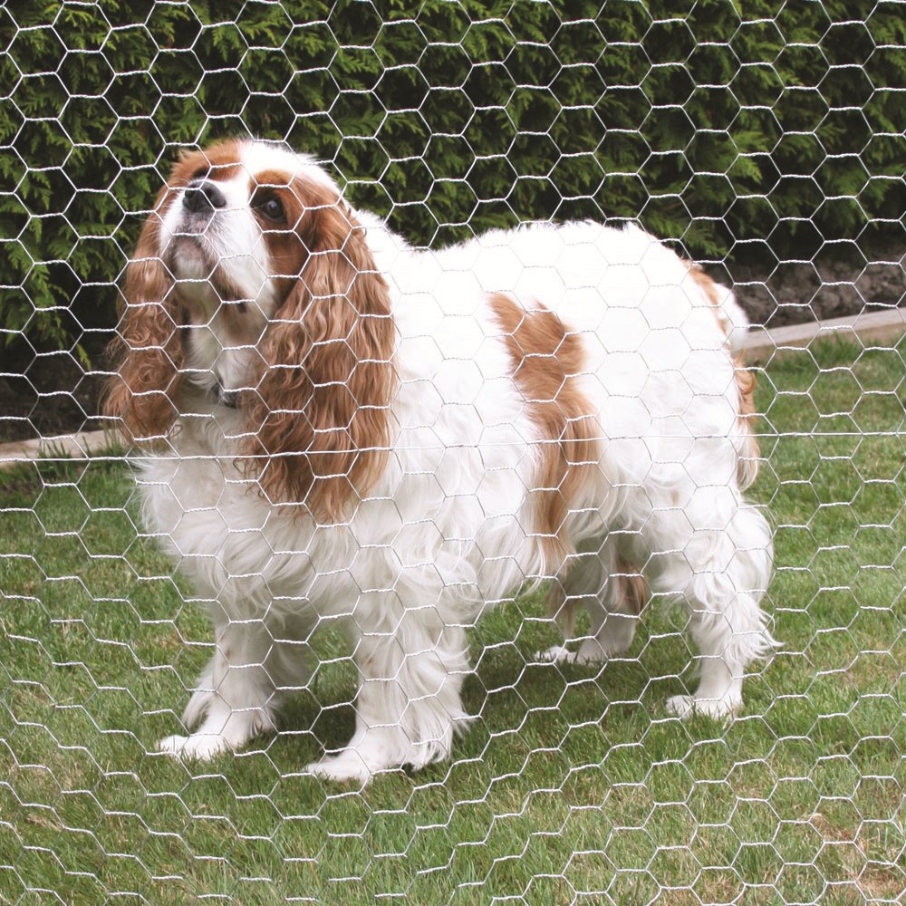 Weaving Hexagonal Wire Mesh Poultry Livestock Wire Netting for Chicken Fence Duck Goose Hexagonal Wire Netting