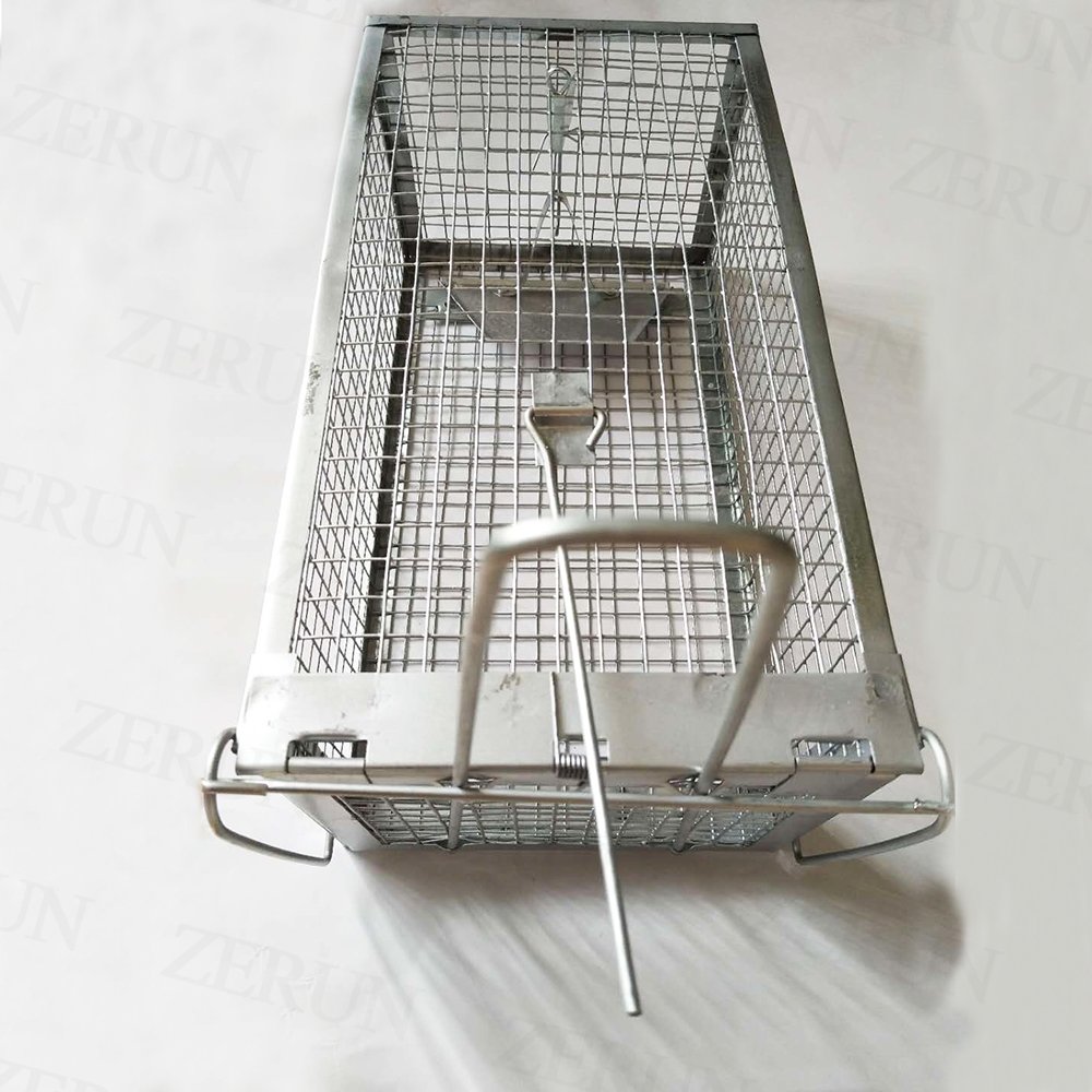 Luxuries Rat Trap-Humane Live Animal Cage for Rat Mouse Hamster Mole Weasel Gopher Chipmunk Squirrels and More Rodents