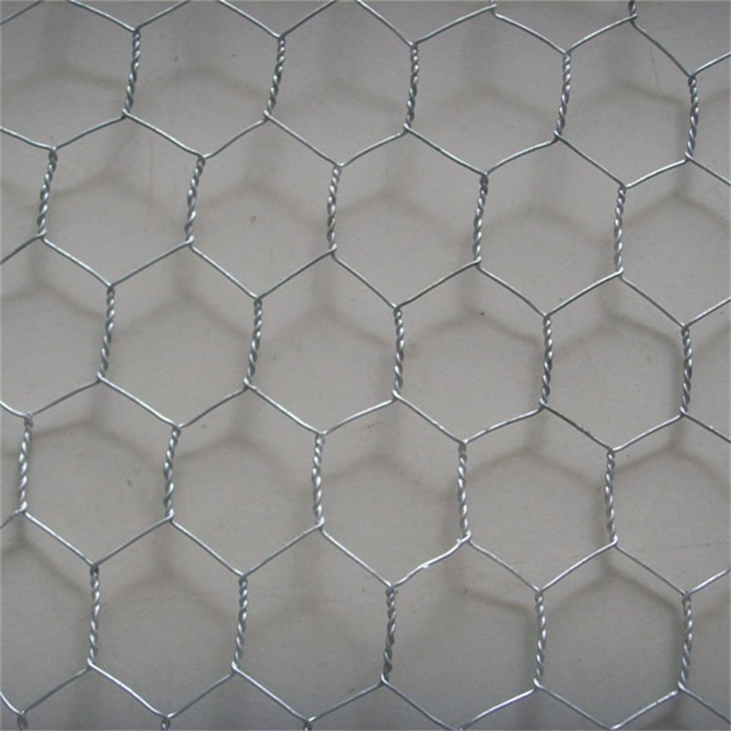 Galvanized Chicken Wire Mesh Hexagonal Wire Netting For Chicken Cage Frame