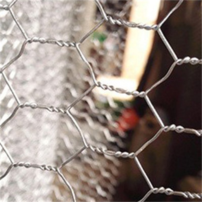 Galvanized Chicken Wire Mesh Hexagonal Wire Netting For Chicken Cage Frame