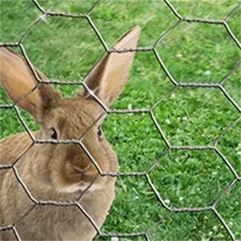 3ft 4ft 5ft 6ft Chicken Wire Galvanized PVC Coated Hexagonal Wire Mesh For Poultry Fence
