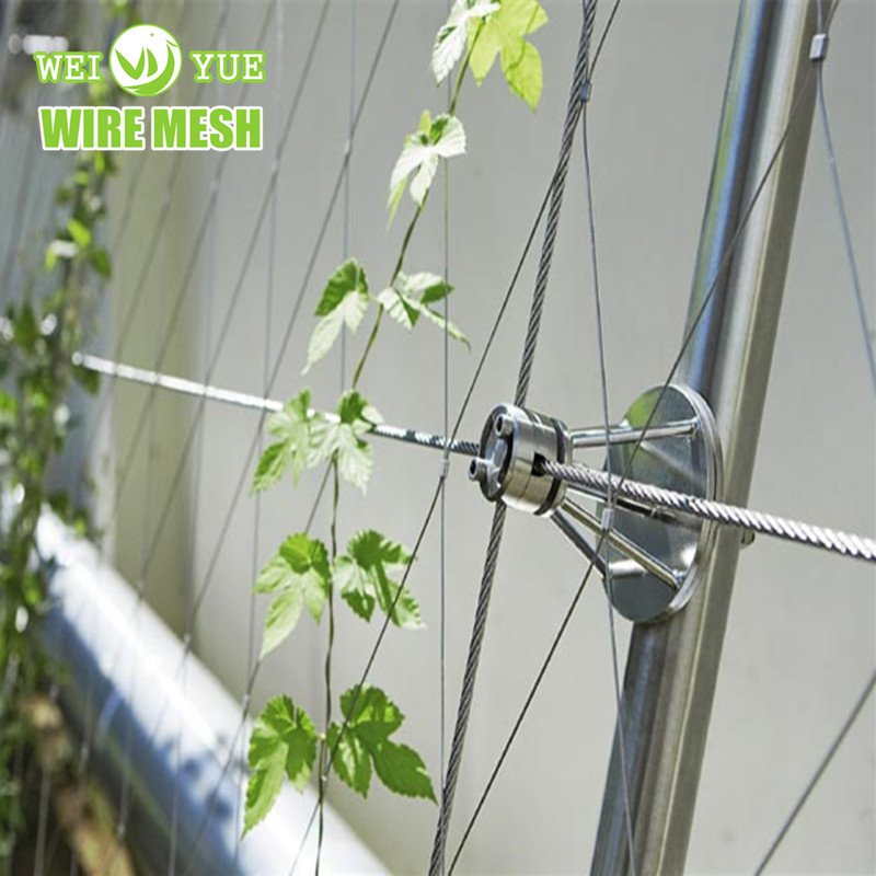 SS316 Ferrule Diamond Stainless Steel Birdhouse Net Zoo Rope Net Wire Rope Net For Animal Fence