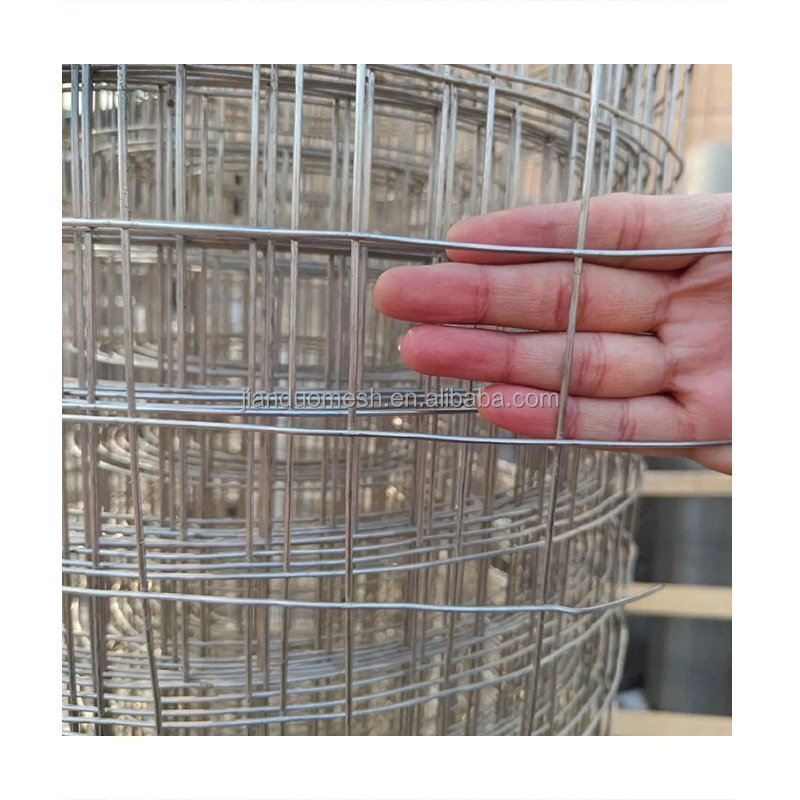2mm Welded Wire Mesh Galvanized Welded Wire Mesh Roll Welded Wire Mesh Fence