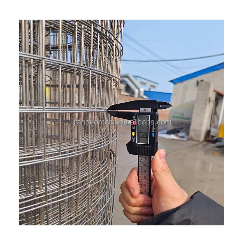 2mm Welded Wire Mesh Galvanized Welded Wire Mesh Roll Welded Wire Mesh Fence