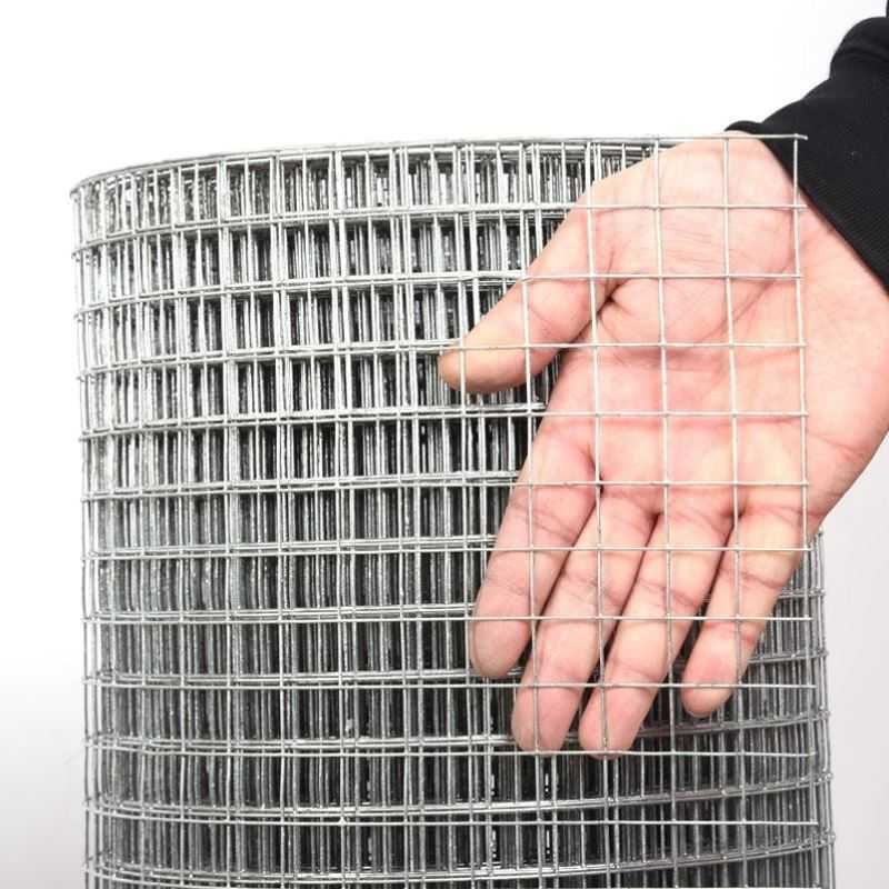 Hot Dipped Galvanized welded wire mesh Rolls and panels