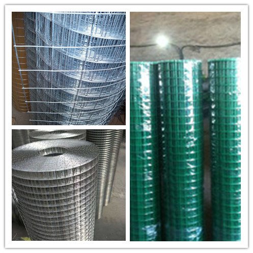 Hot Dipped Galvanized welded wire mesh Rolls and panels
