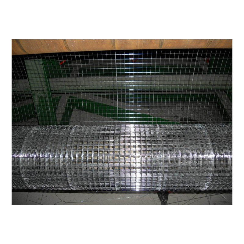25.4mm*25.4mm 1/2" 3/4" 1" stainless steel welded wire mesh for farm