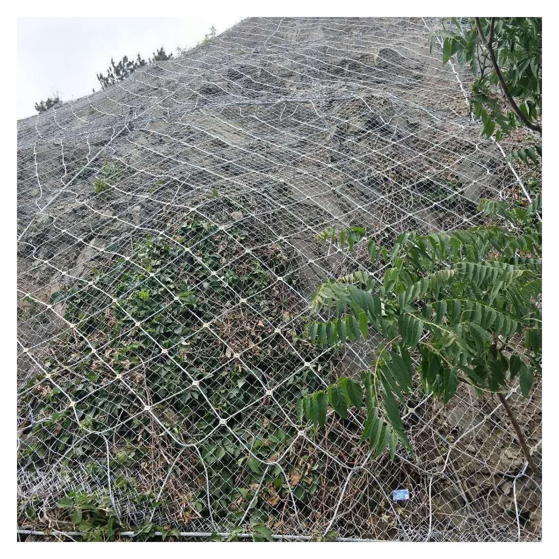 2x1x1 stone gabion cage box woven galvanized retain wall price Gabion fence mesh wire rolls gabion basket