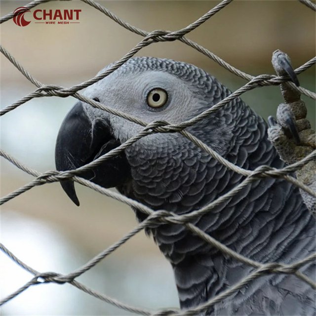 Lightweight 1.2mm 1.5mm Hole Stainless Steel Wire Mesh 30*30 for Bird Cages & Aviary Wire Netting