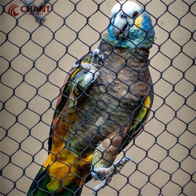 Lightweight 1.2mm 1.5mm Hole Stainless Steel Wire Mesh 30*30 for Bird Cages & Aviary Wire Netting