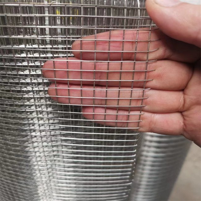 stainless steel welded wire mesh net 25x25 for fish pot