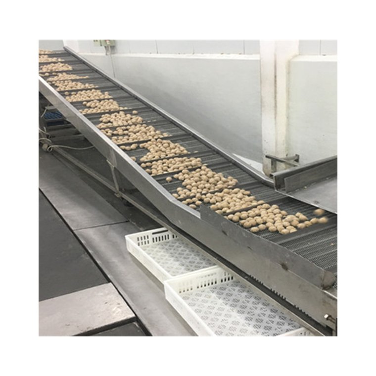 Professional Stainless Steel Roller Chain Driven Conveyor Belt Low Price Woven Technique Welding Stainless Steel Wire Mesh