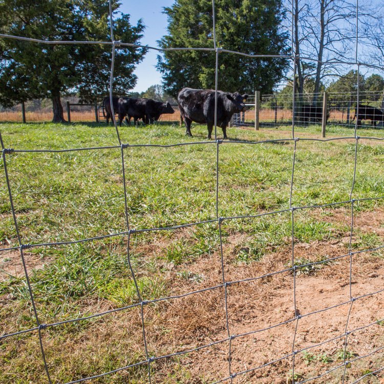 Steel woven wire mesh fence game farm grassland galvanized field fence for sale