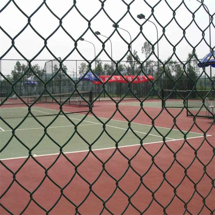 Factory for sale Customized Directly Supply galvanized weaving chain link wire mesh fence