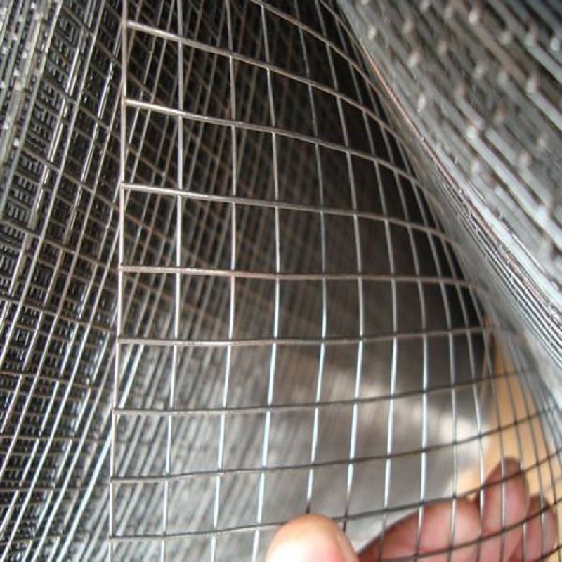 Hot Selling Galvanized Welded Wire Mesh Fencing Iron Wire Mesh Welded Wire Mesh Price