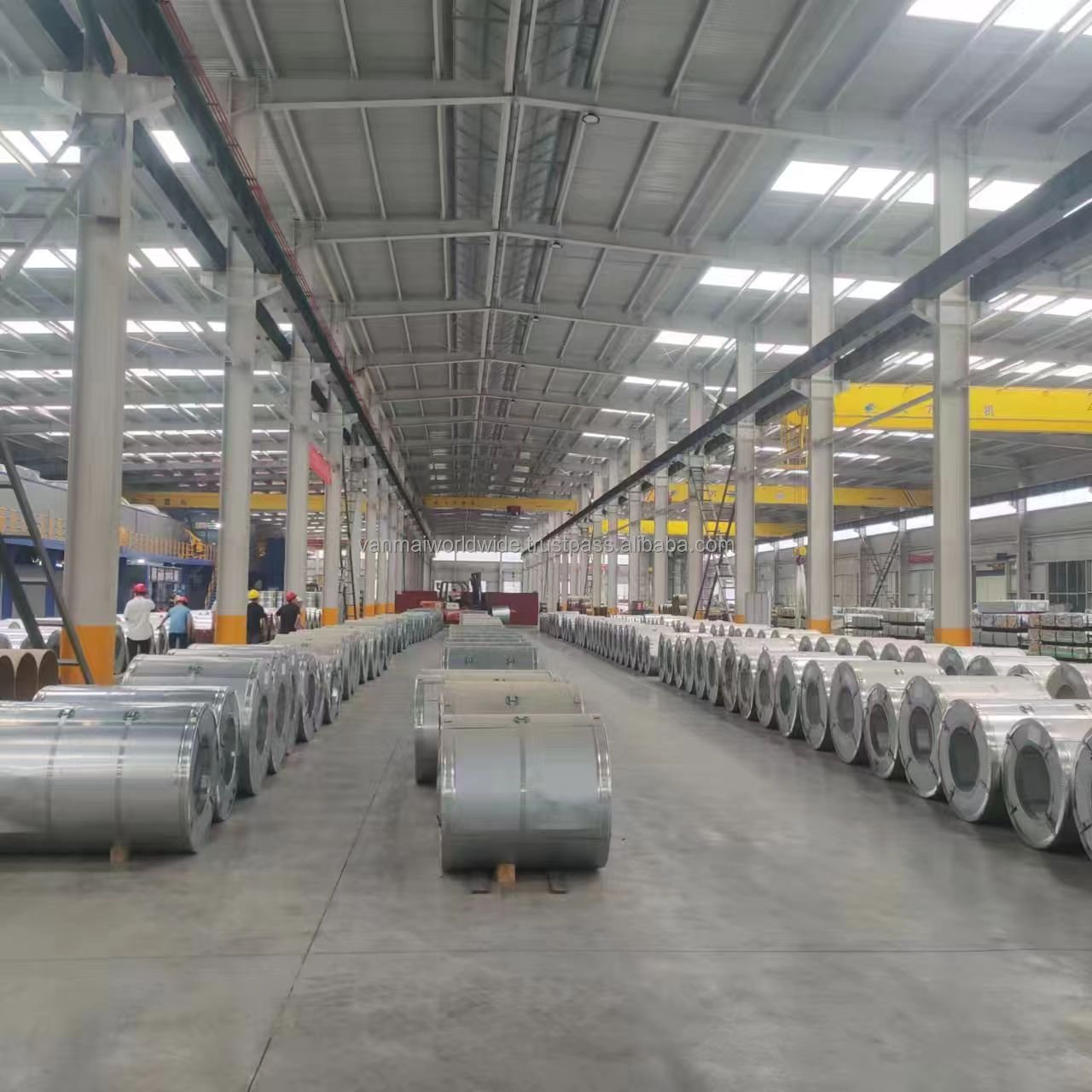 DX51D Color Coated Sheet Prepainted Galvanized Steel Coil PPGI zinc steels coils