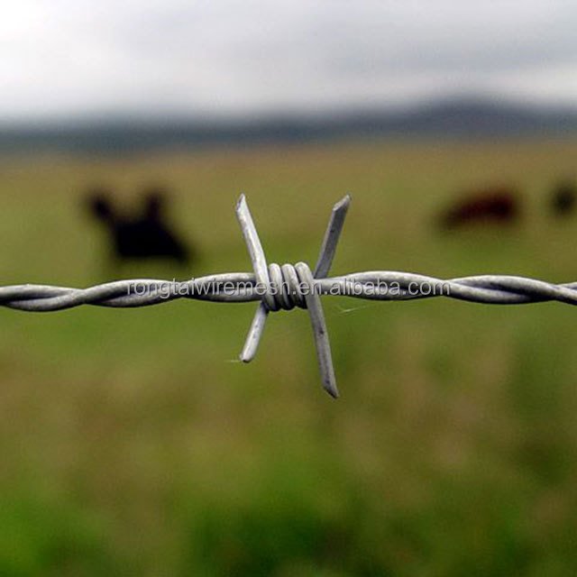 500m per roll pvc coated 2.5 mm 12 gauge barbed wire algeria
