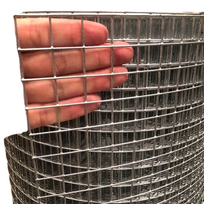 Hot Sale Galvanized Stainless steel Welded Wire Mesh Roll/Piece Chicken Farm Fencing steel Wire Mesh