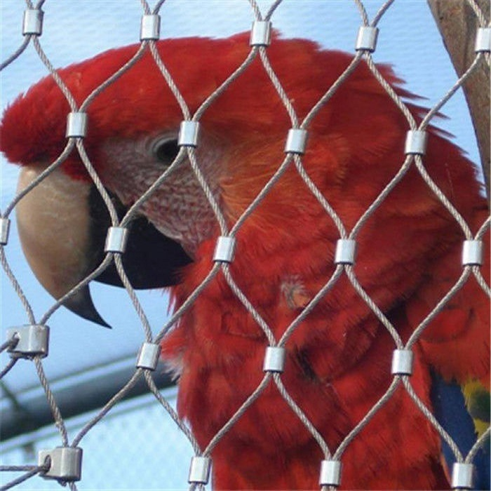 Construction Safety Animal Fence Stainless Steel Zoo Bird Aviary Netting Wire Rope Mesh In Black Oxide Netting
