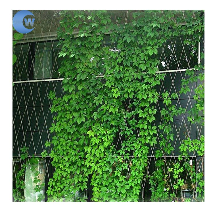 Hot sale Green Wall Stainless Steel Wire Rope mesh Trellis and Fittings