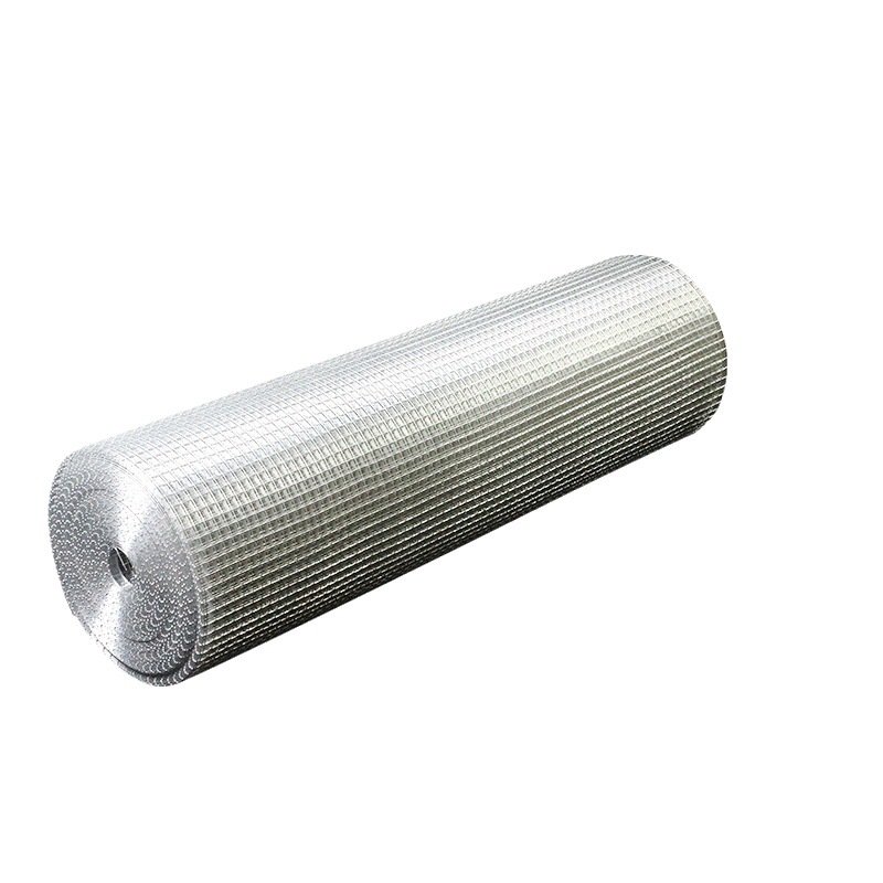 Galvanized Steel Wire Mesh PVC Coated Welded Wire Mesh Roll