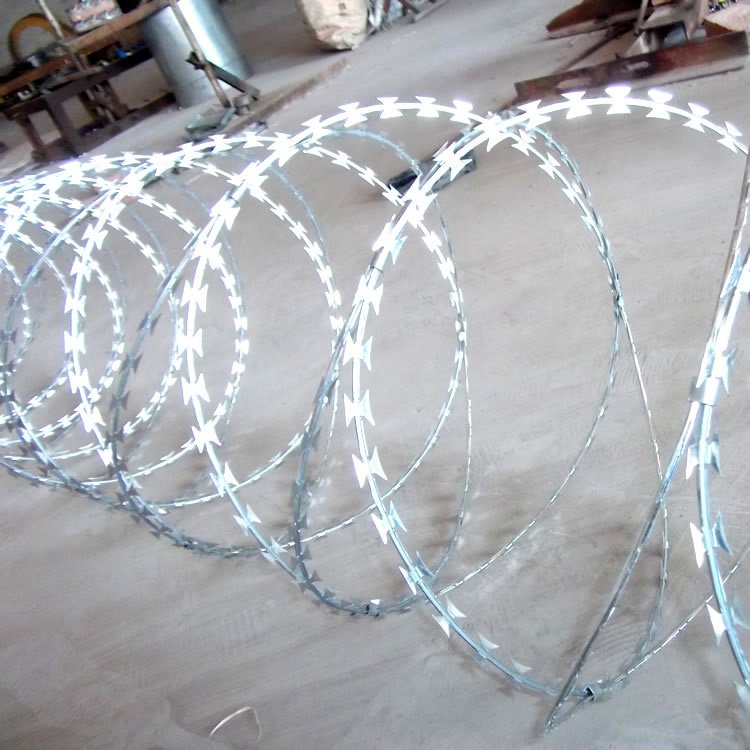Real Factory Low Price Stainless Steel SS 304 Razor Wire / Galvanized Concertina Wire / BTO-22 CBT-65 Razor Barbed Wire