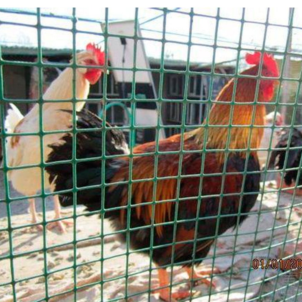 Galvanized wire welding steel mesh factory price