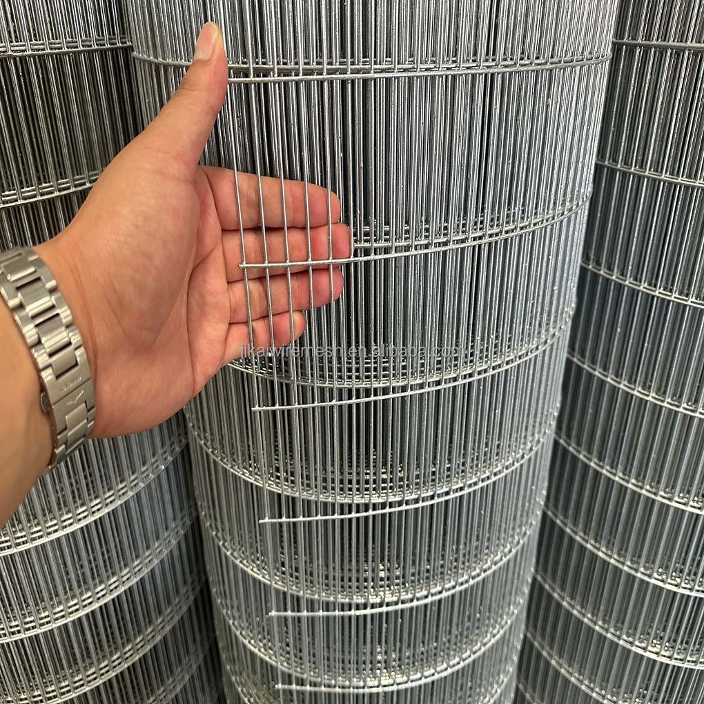 Galvanized Hot Dipped Bird Cage Welded Wire Mesh Panel Pvc Coated Steel Wire Mesh