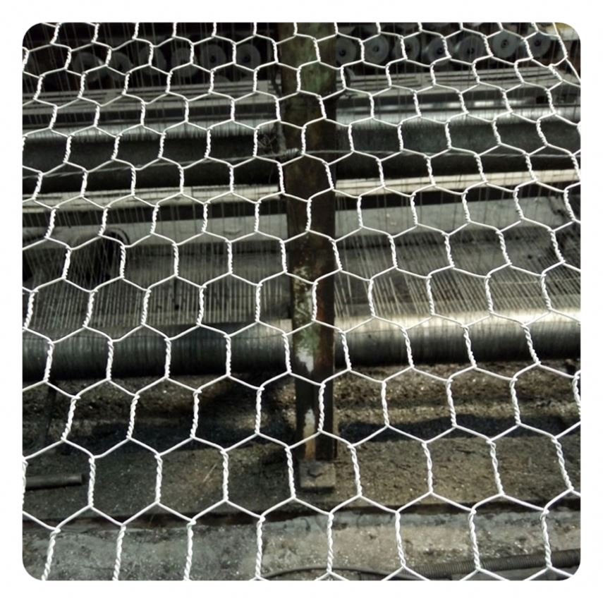 Factory Direct Galvanized Panama Woven Chicken Wire Mesh