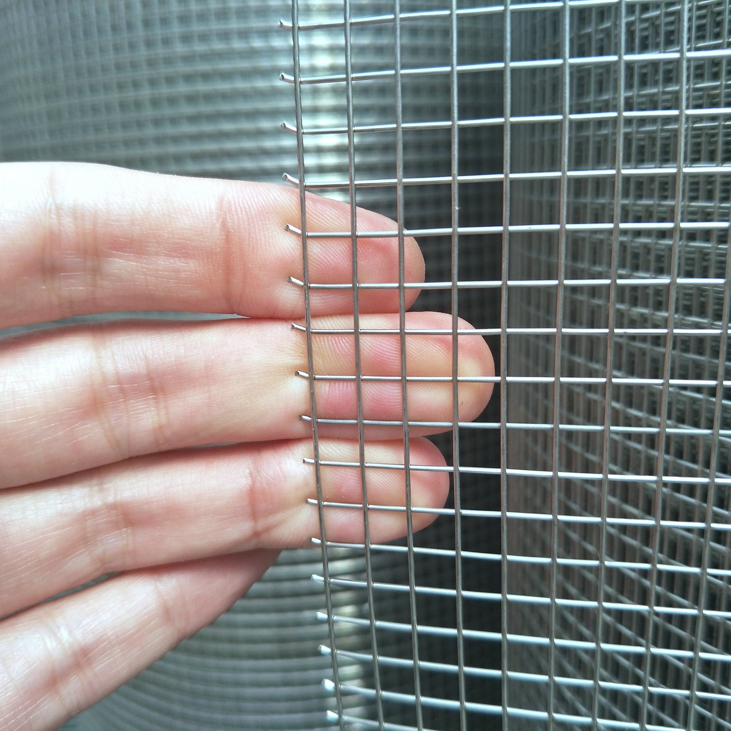 Hot Dipped Galvanized Welded Wire Mesh/ Stainless Steel Welded Wire Mesh