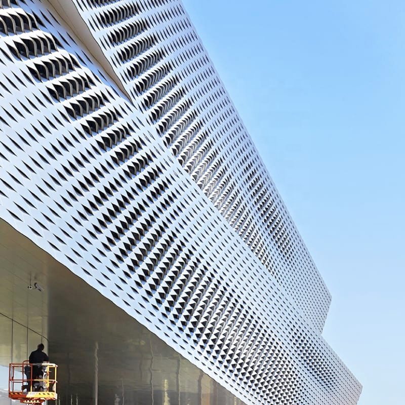 Stainless Steel Wire Mesh Outdoor Wall Screen Panel Decorative Perforated Plain Weave Powder Coated Surface Offering Welding