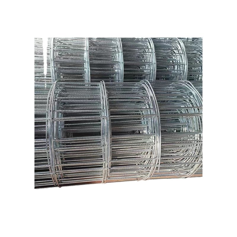 Electro Galvanized Welded Iron Wire Mesh