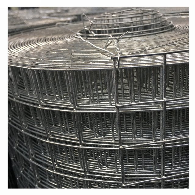 Factory price 8 gauge 2x2 inch wire mesh rust proof hot dip galvanized welded wire mesh roll for fence