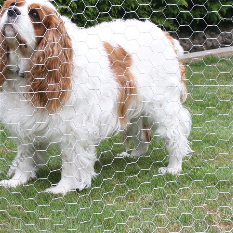 Custom Malla pvc Coated Plastic Hexagonal Iron Wire Mesh For Poultry Monkey Chicken Wire Coops Lobster Trap Fishing Netting Cage