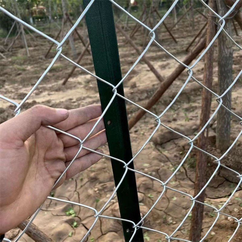 8 FT Industry Chain Link Security Wire Fence Galvanized For Farm /Garden