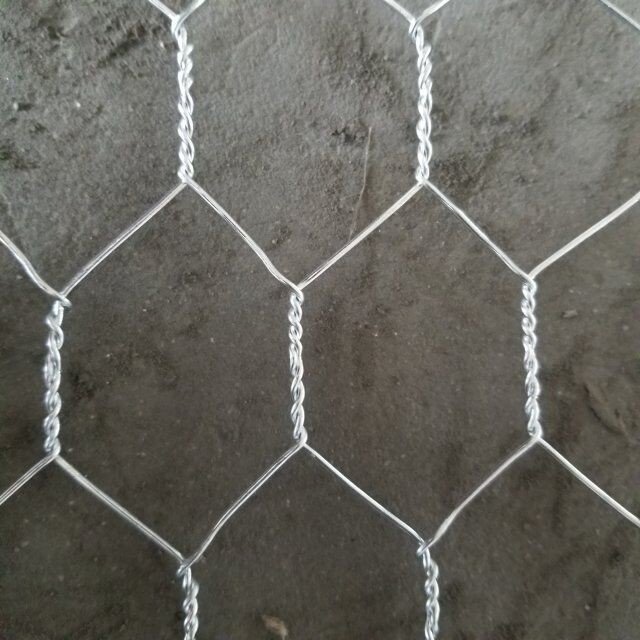 Chicken wire mesh / Galvanized Hexagonal wire netting / galvanized fish lobster trap hexagonal wire mesh