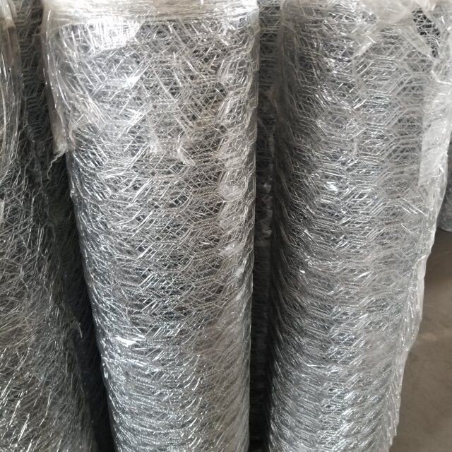 Chicken wire mesh / Galvanized Hexagonal wire netting / galvanized fish lobster trap hexagonal wire mesh