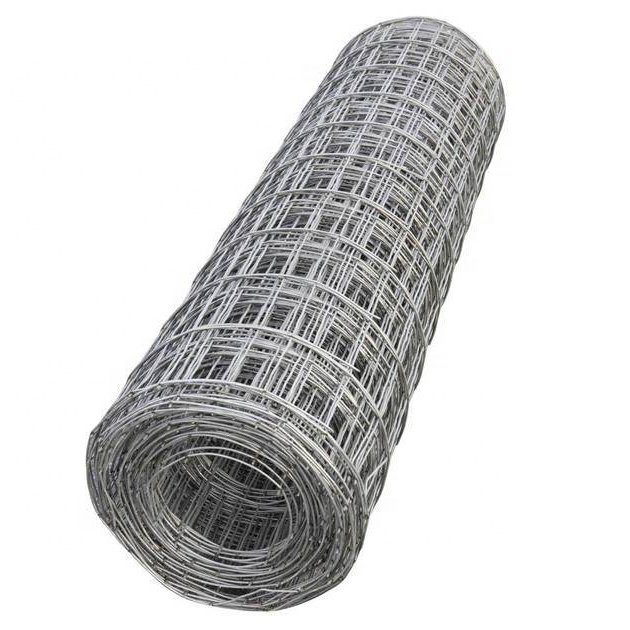Various Sizes Stainless Steel welded wire mesh / Galvanized Iron wire Mesh