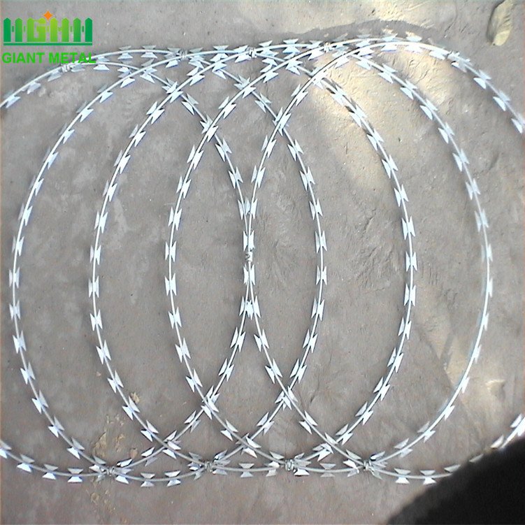 Hot Dipped Galvanized Concertina Razor Barbed Wire BTO22 PVC Coated Iron & Steel Blade Type Secure Fence Security Coils Prisons