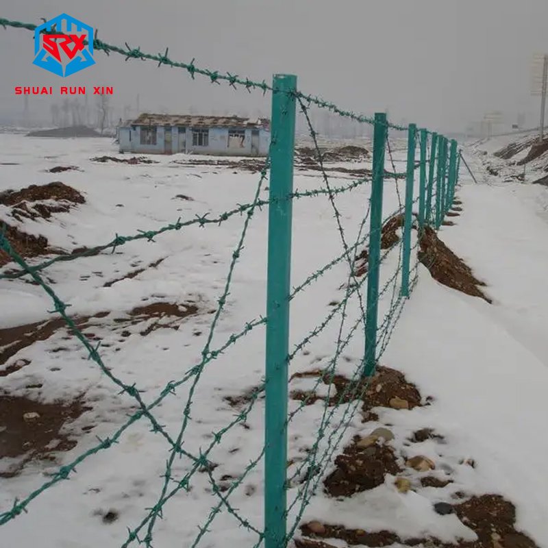 SRXHigh Quality Industrial Twist Barbed Wire Razor Wire Hot Dipped Galvanized Steel for Farm & Garden Security Fence barbed wire