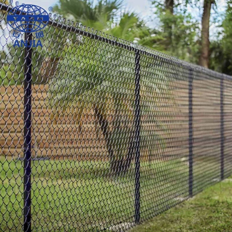 Galvanized PVC Coated Wire Mesh Chain Link Fence