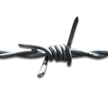 Custom Cutting Bending Punching Services Razor Wire Plain Weave Rope Mesh Galvanized Stainless Steel Diamond Welded Bending