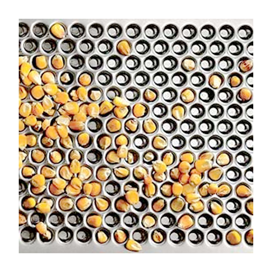 Heavy-Duty Perforated Sieve Panels Anti-Clogging Industrial Grade Screens Metal Microperforated Iron Screen Mesh