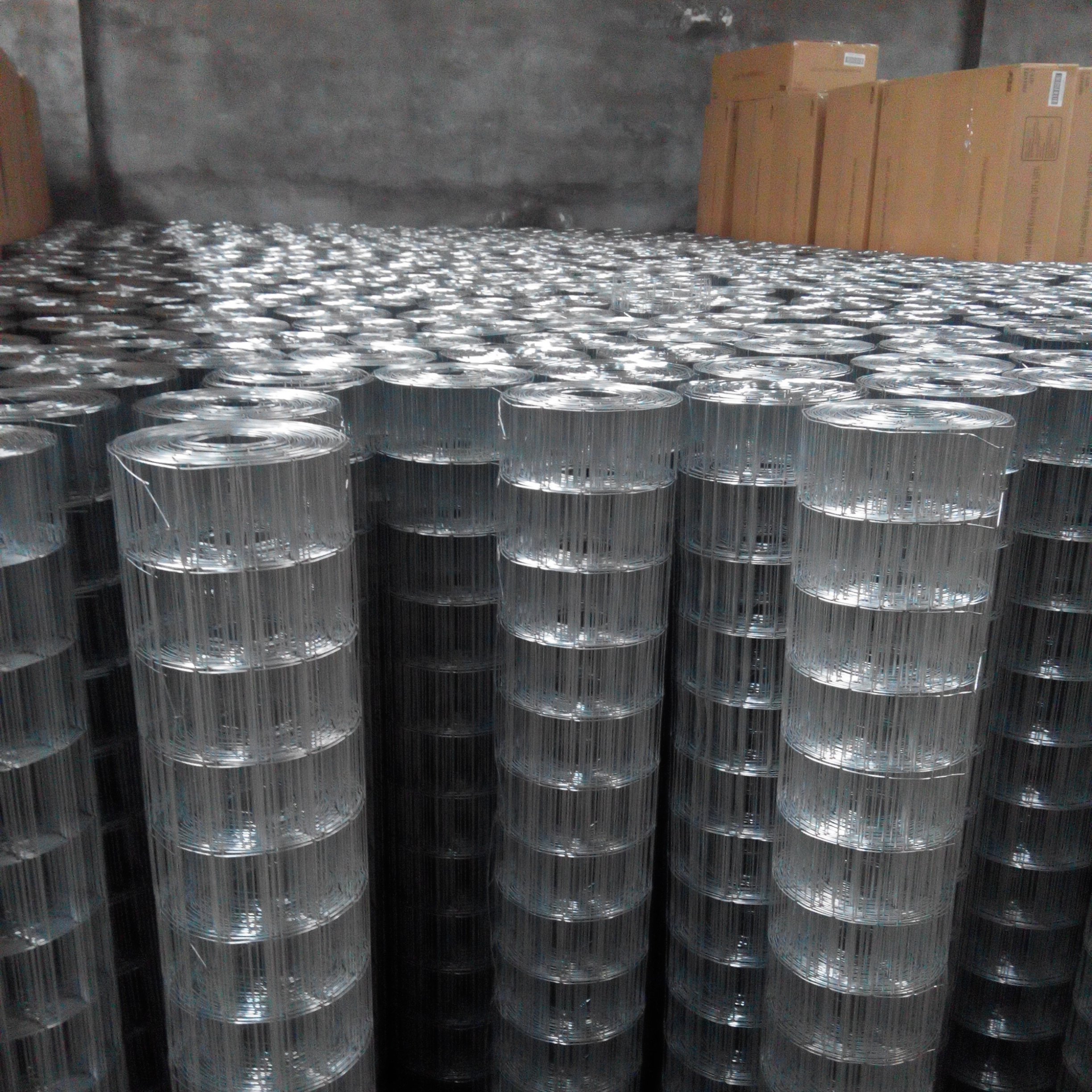 Galvanized Welded Wire Mesh After Welding For Metal Mesh