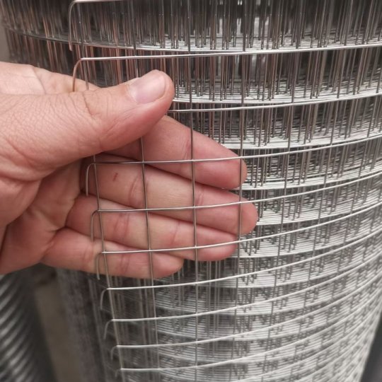 Galvanized Welded Wire Mesh After Welding For Metal Mesh