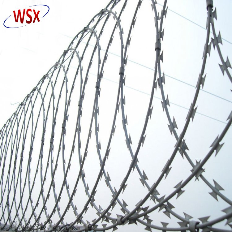 Hot Dipped Galvanized Iron Wire Concertina Razor Barbed Wire Coil for Fence and Protection