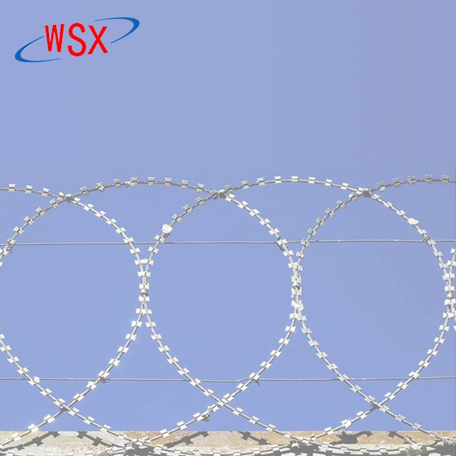 Hot Dipped Galvanized Iron Wire Concertina Razor Barbed Wire Coil for Fence and Protection