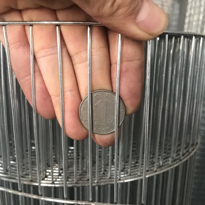 Welded Wire Mesh/wire Mesh Welded Netting/ss Material Anping Welded Mesh Stainless Steel Protecting Mesh,construction Wire Mesh