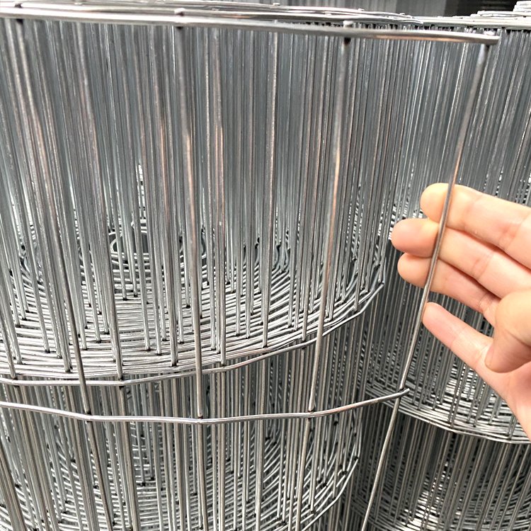 Galvanizedl Welded Wire Mesh,Galvanized Stainless Steel Welded Wire Mesh,Electrowelding Net/Welded Wire Mesh